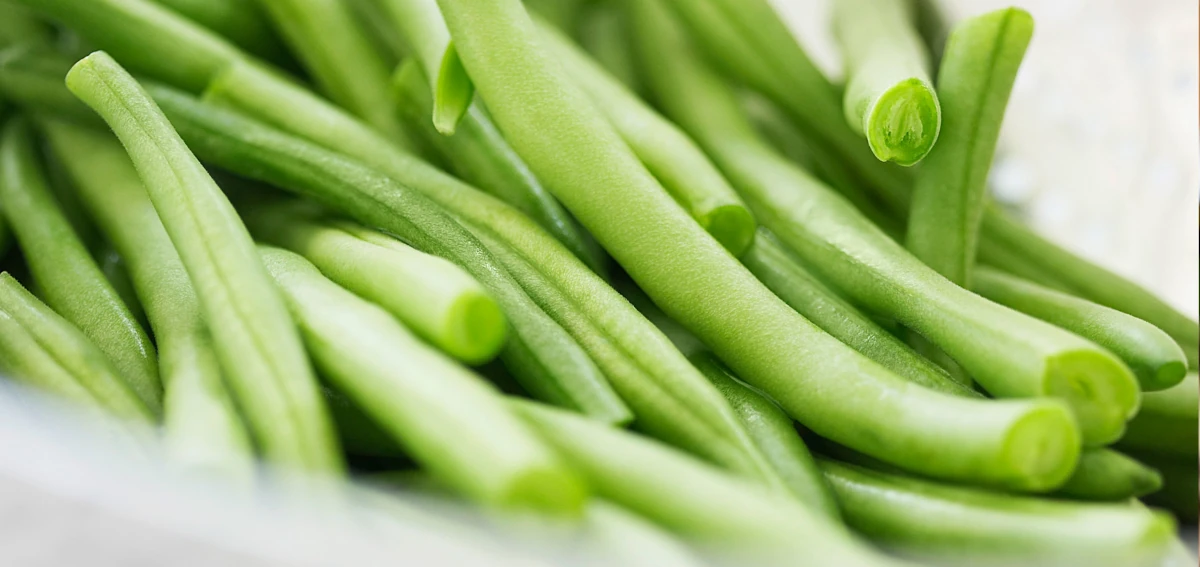 Canning Green Beans photo